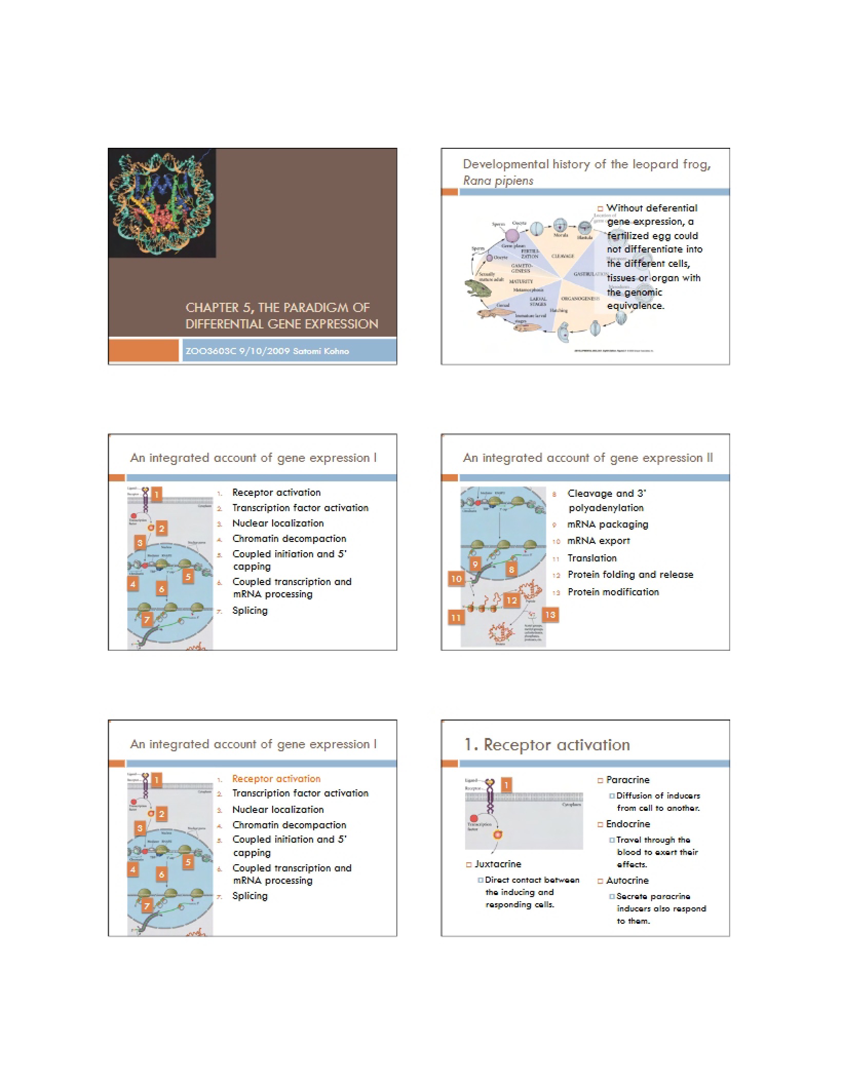 Differential Gene Expression Paradigm