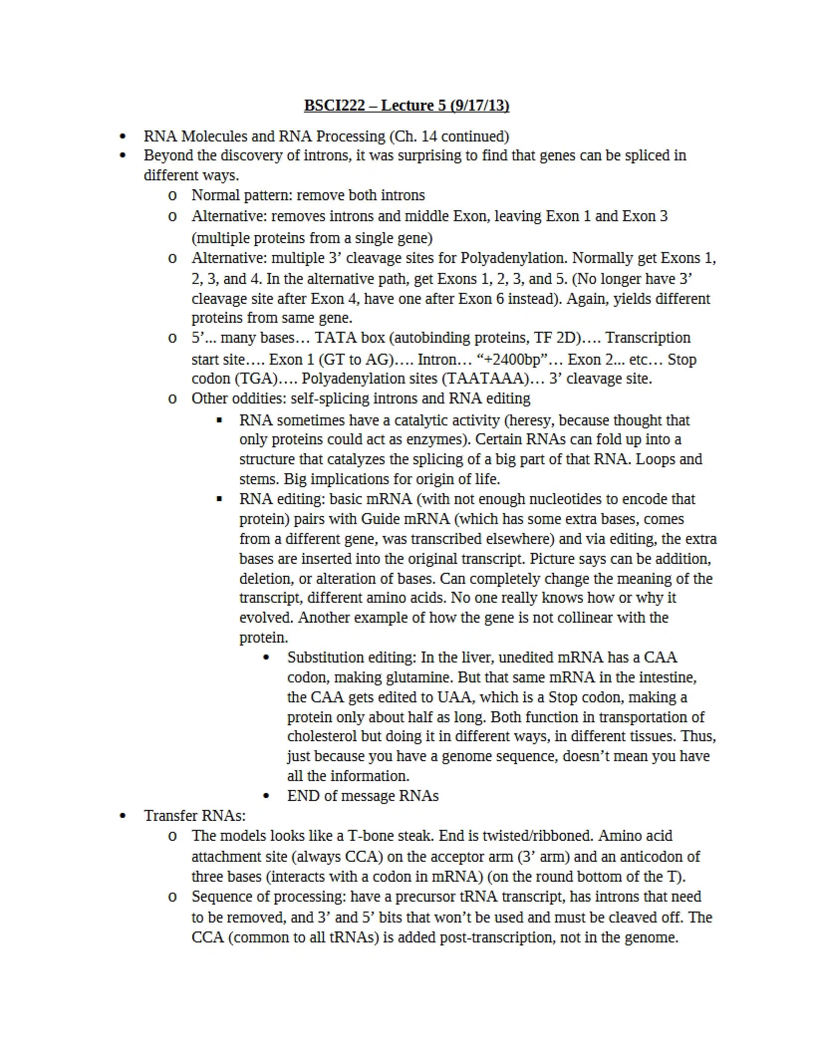 Fifth Lecture Topic Overview