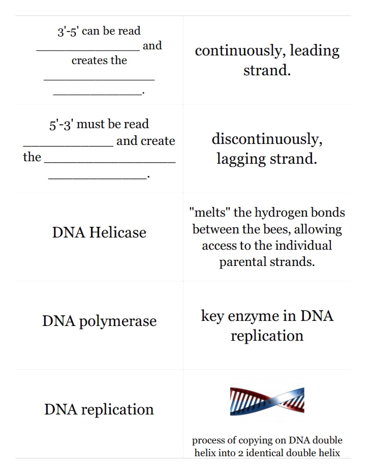 Deoxyribonucleic Acid (DNA)
