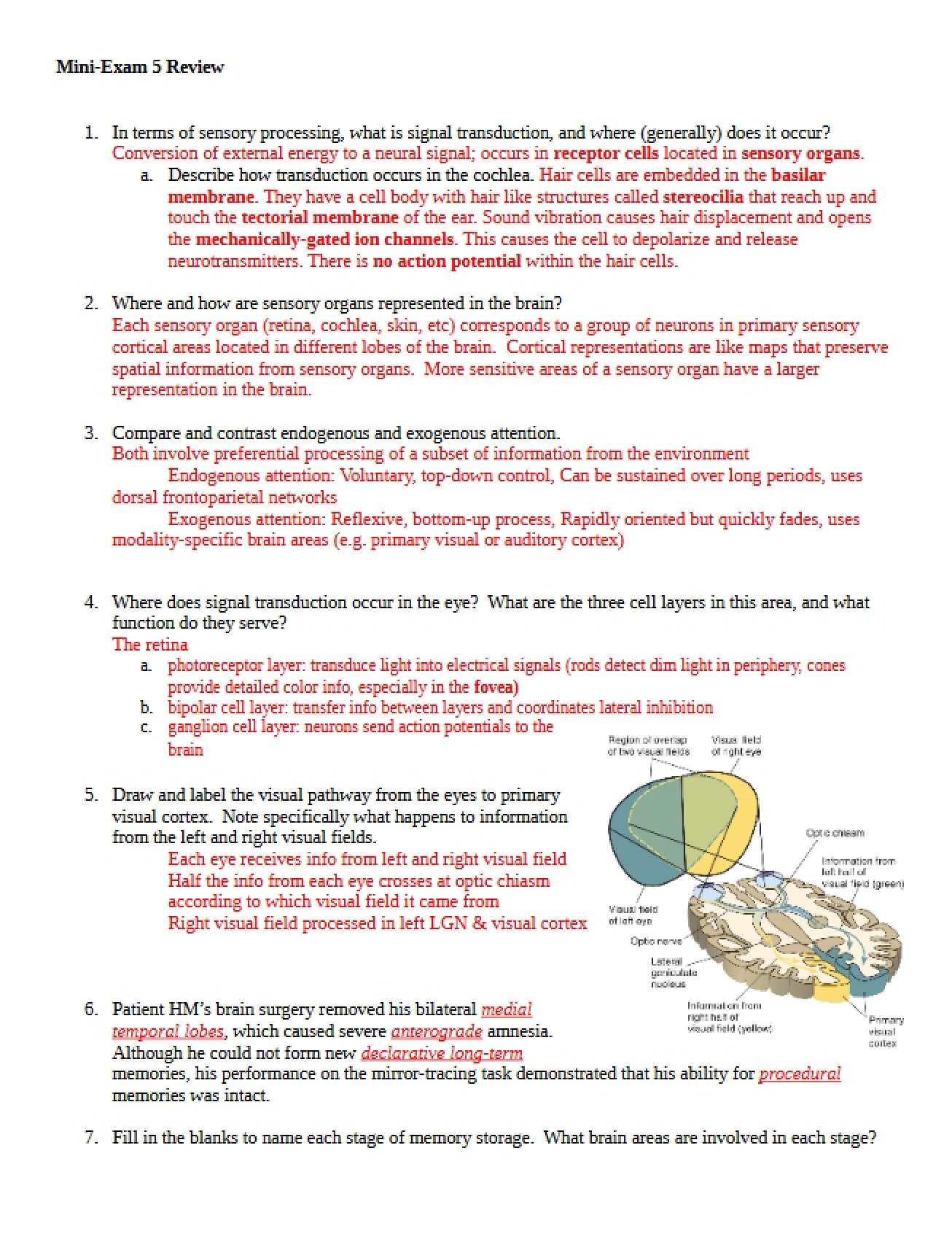 Processing of Sensory Information