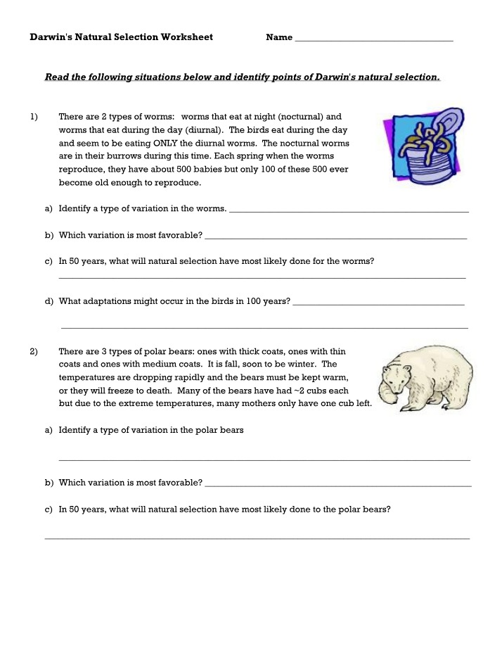 Worksheet on Darwin's Natural Selection
