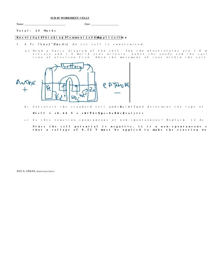 Cells Worksheet - SCH 4U