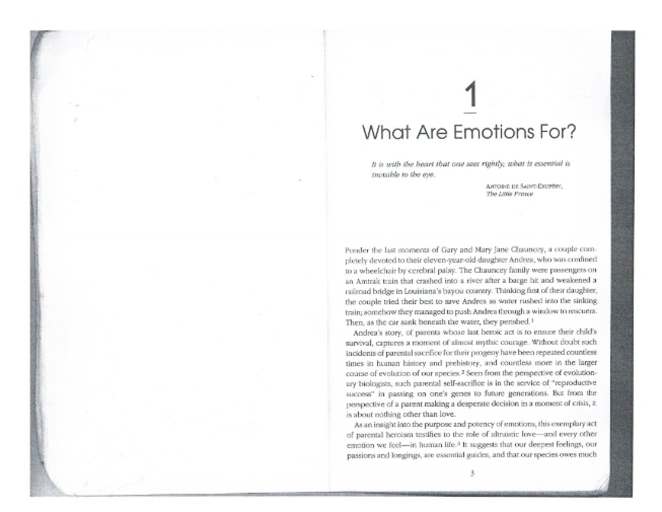 Emotional Intelligence Critical Issues