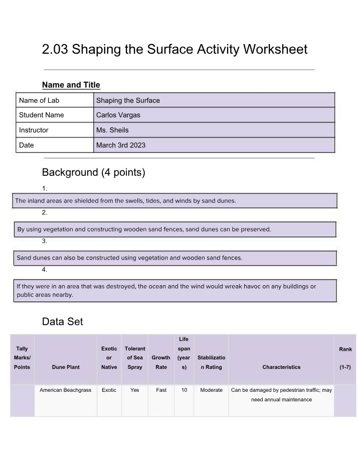 Worksheet - Shaping the Surface Activity