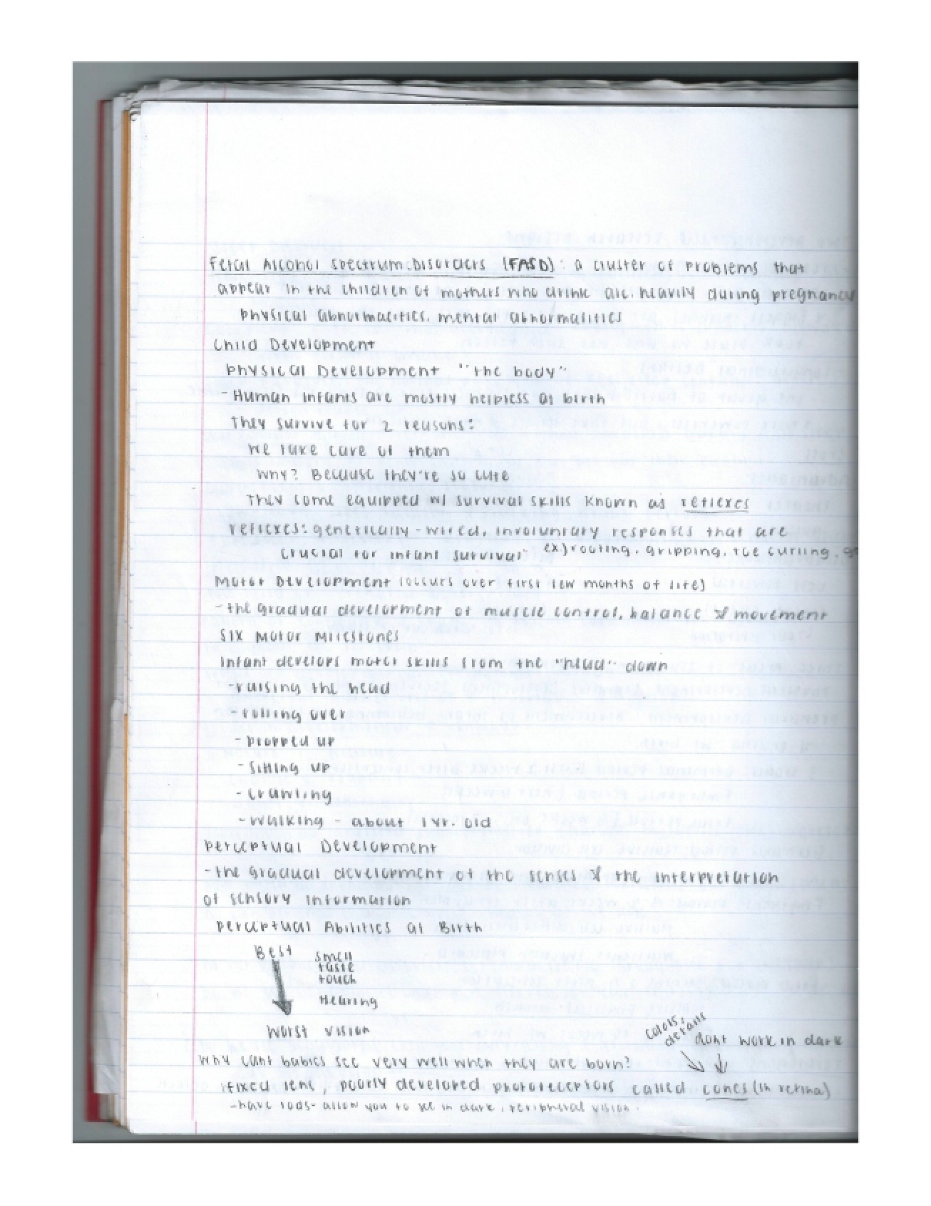 General Psychology Content Notes