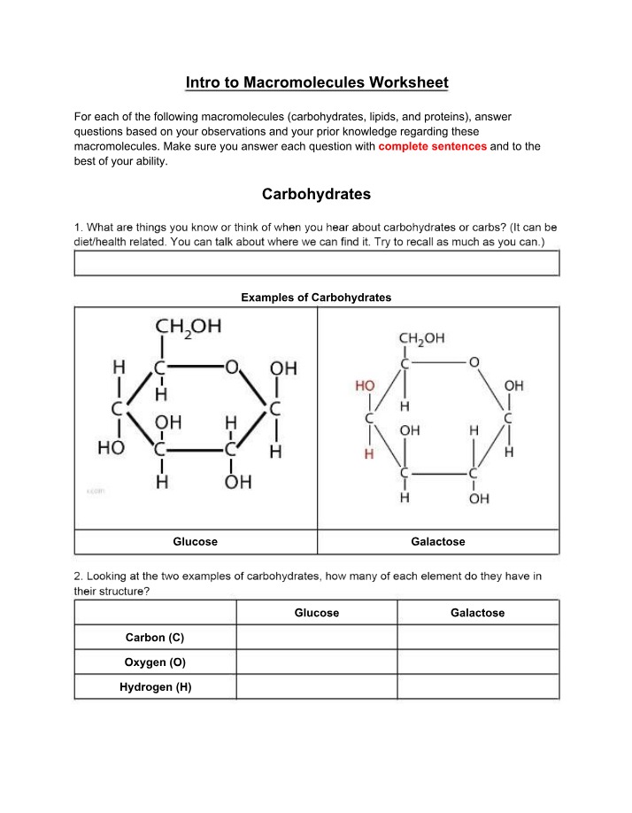 Worksheet on Macromolecules - Carbohydrates, Lipids, and Proteins