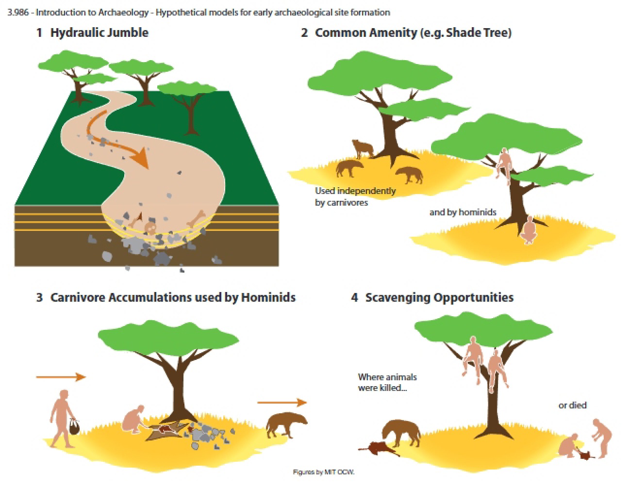 Archaeology Study Materials