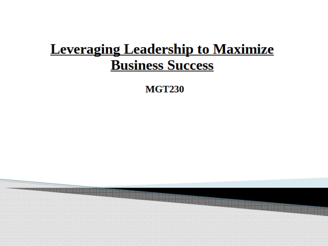 Leadership Leverage