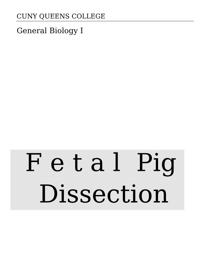 Fetal Pig Dissection - Digestive System and External Features