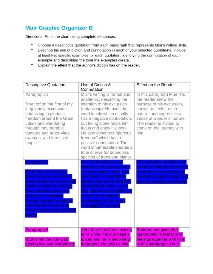 Graphic Organizer B - Muir