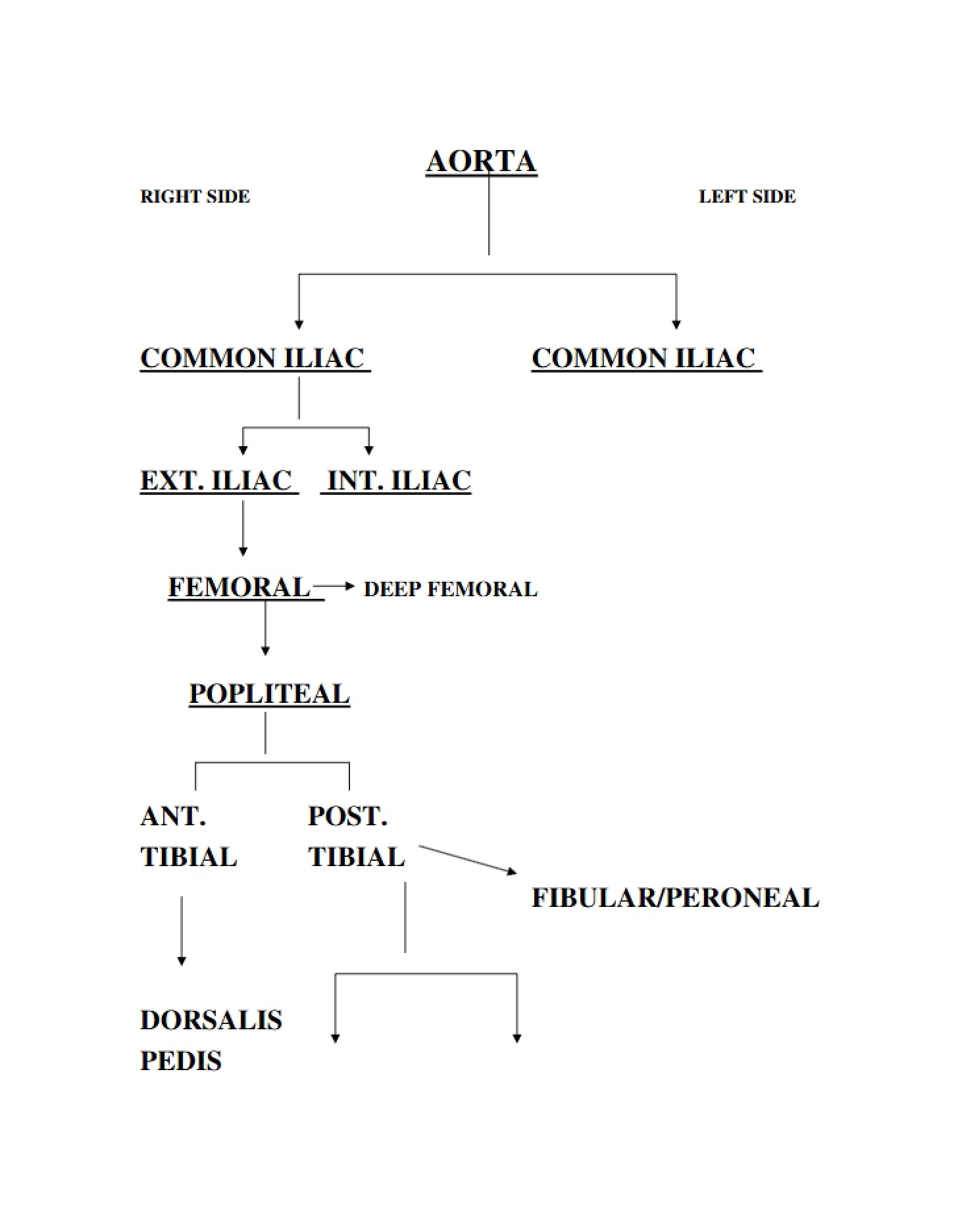 Course Lecture Notes