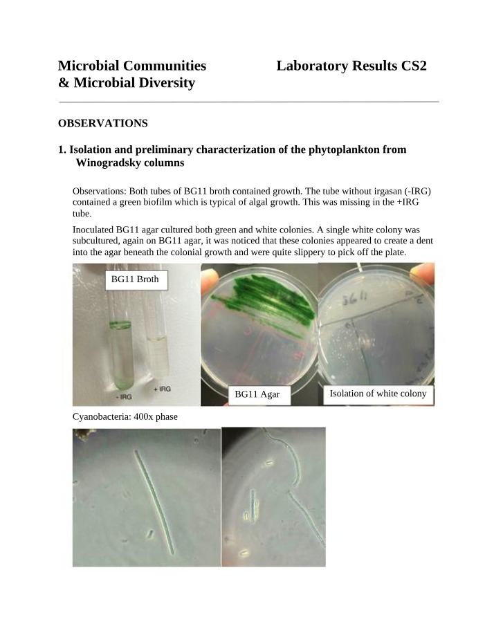 Winogradsky Columns - Isolation and Characterization of Microbial Communities