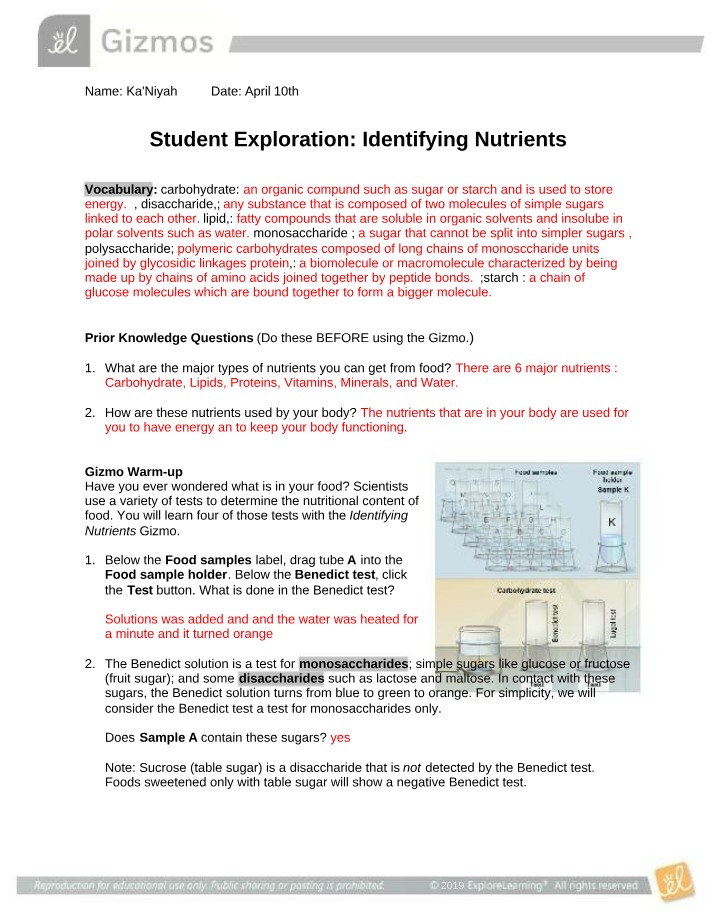 Identifying Nutrients in Food Carbohydrates Proteins and Starches