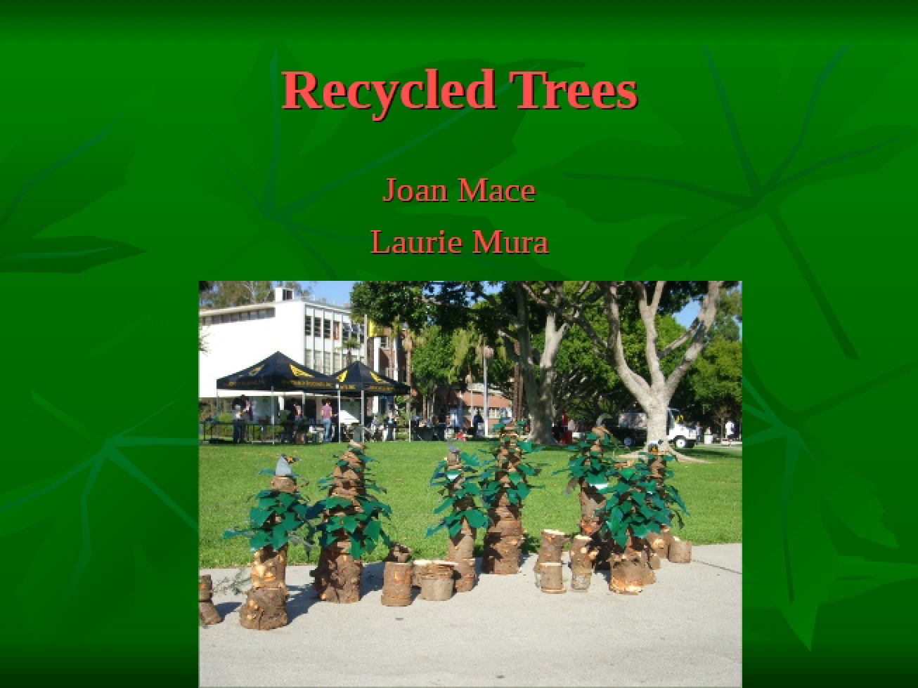 Recycled Trees