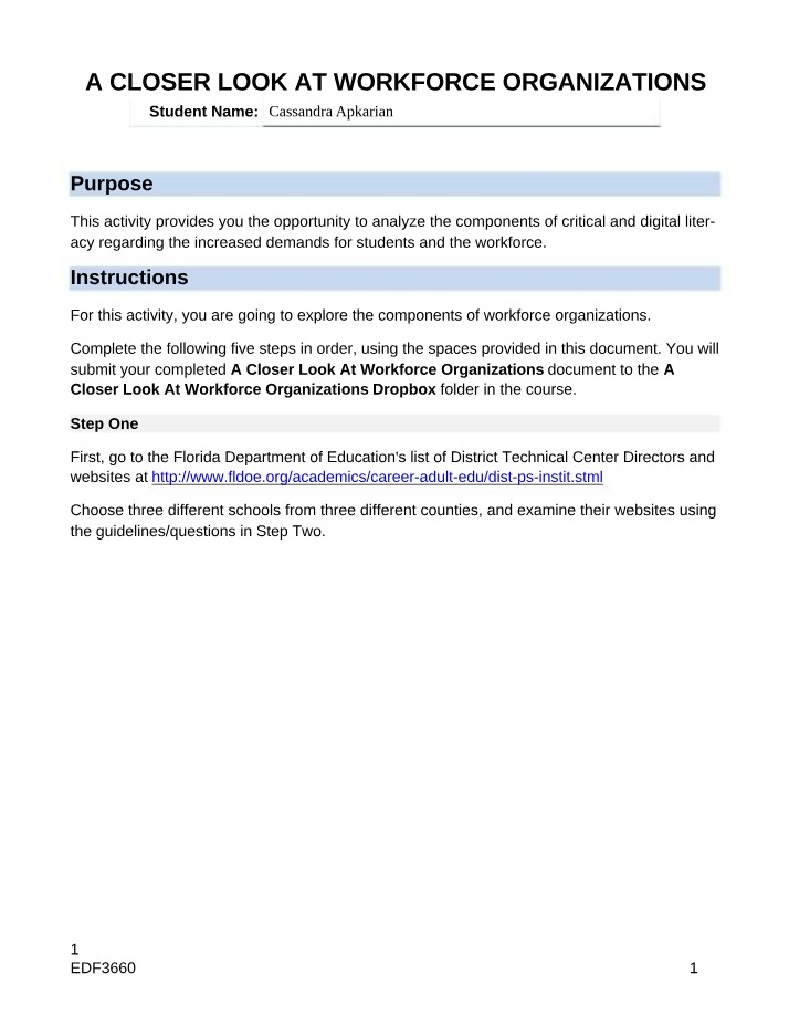 Workforce Organizations Activity - A Closer Look