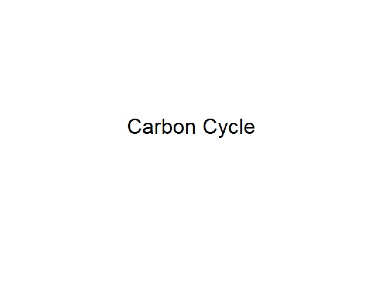 Overview of the Carbon Cycle