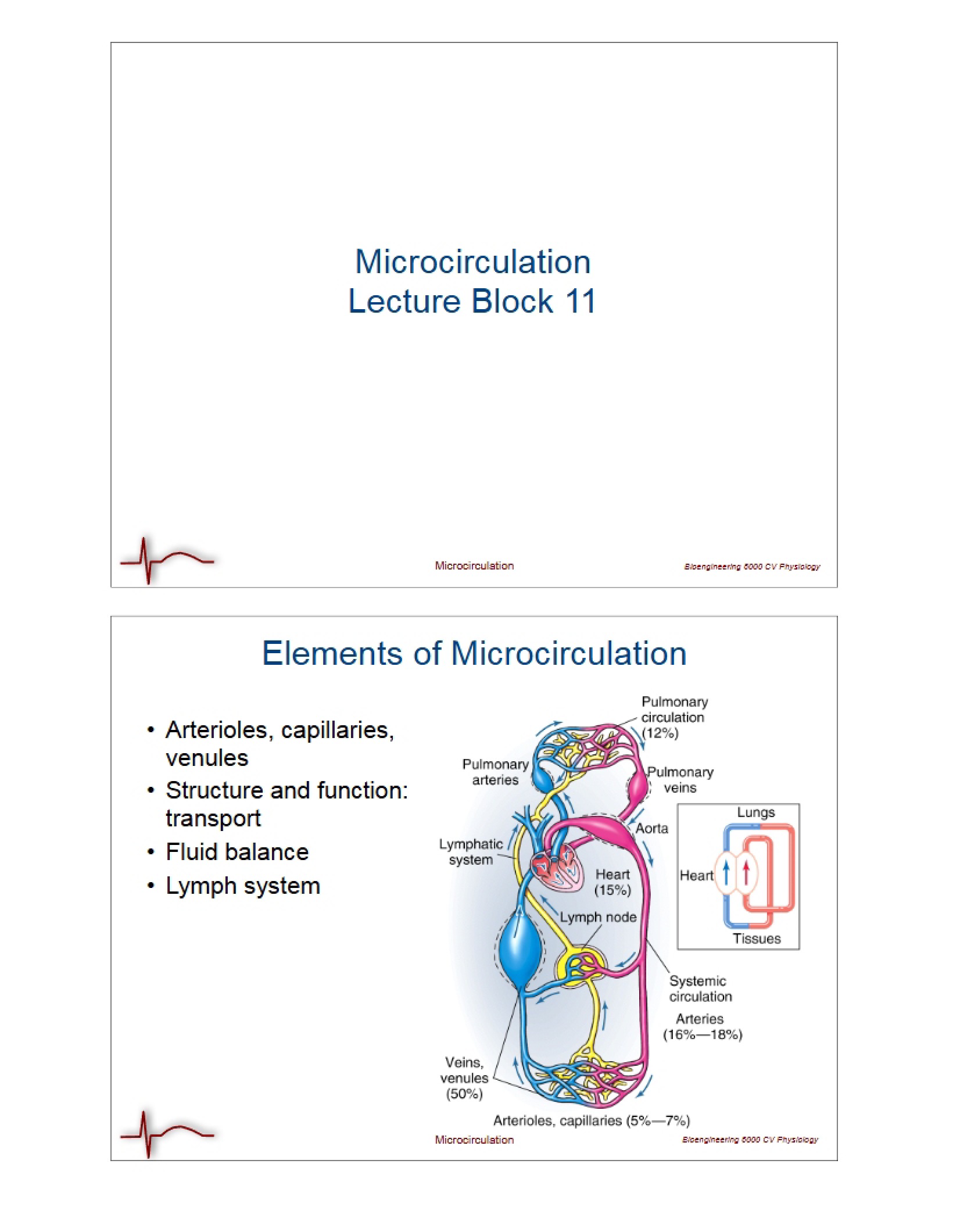 Study of Microcirculation