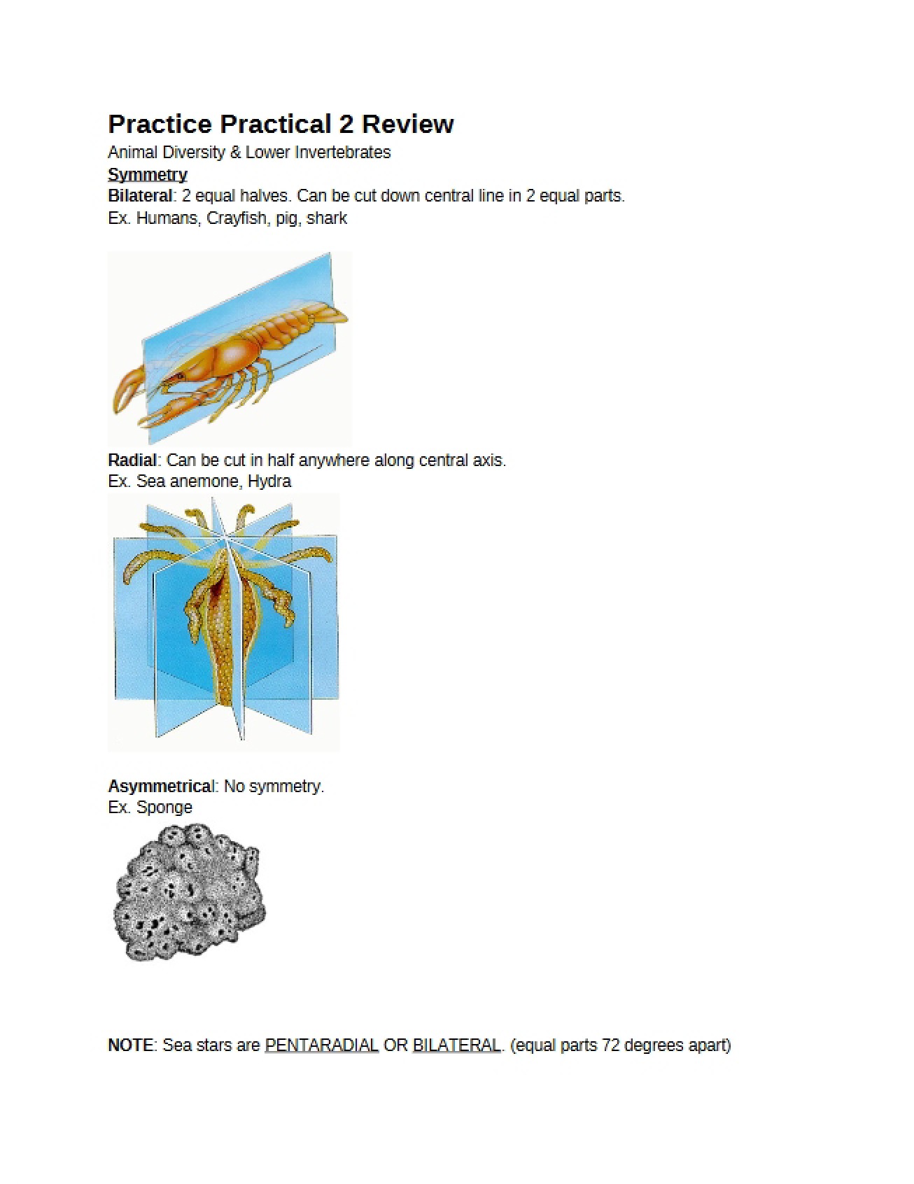 Review for Second Practice Practical
