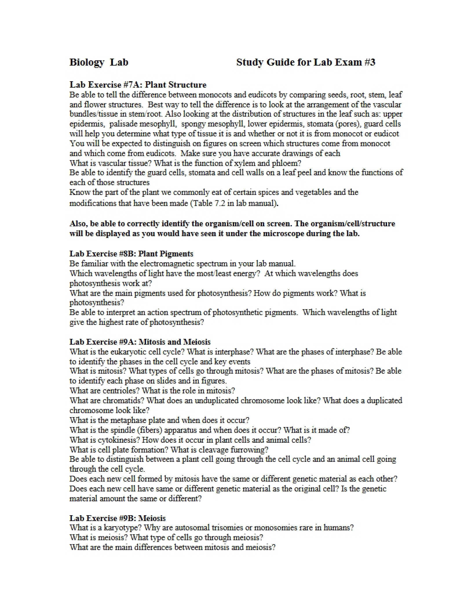 Guide for Lab Exercise Three