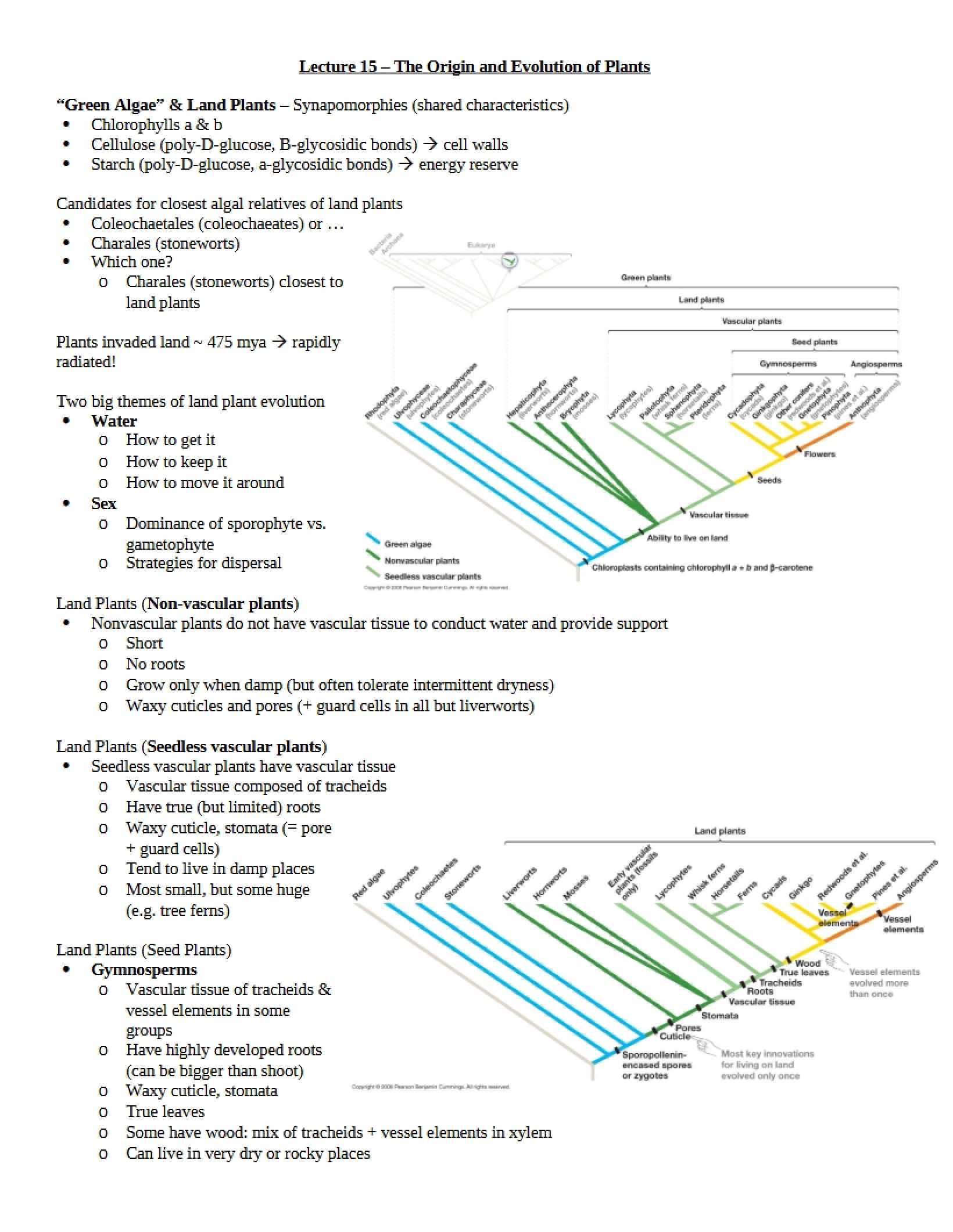 Plants Origin and Evolution