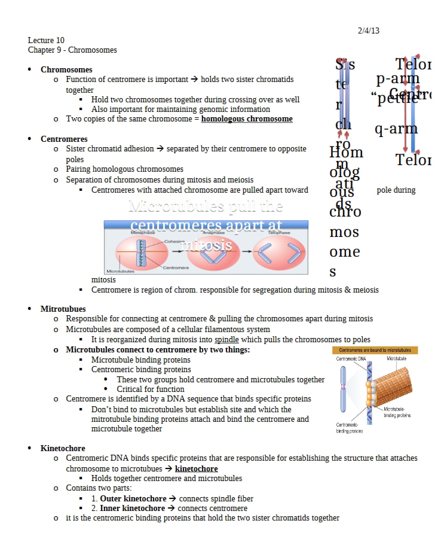 Genetics Analyzing Chromosomes (Chapter 9)