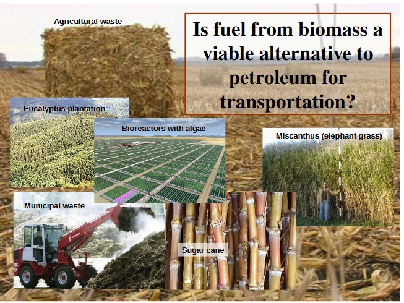 Introduction to Biofuels