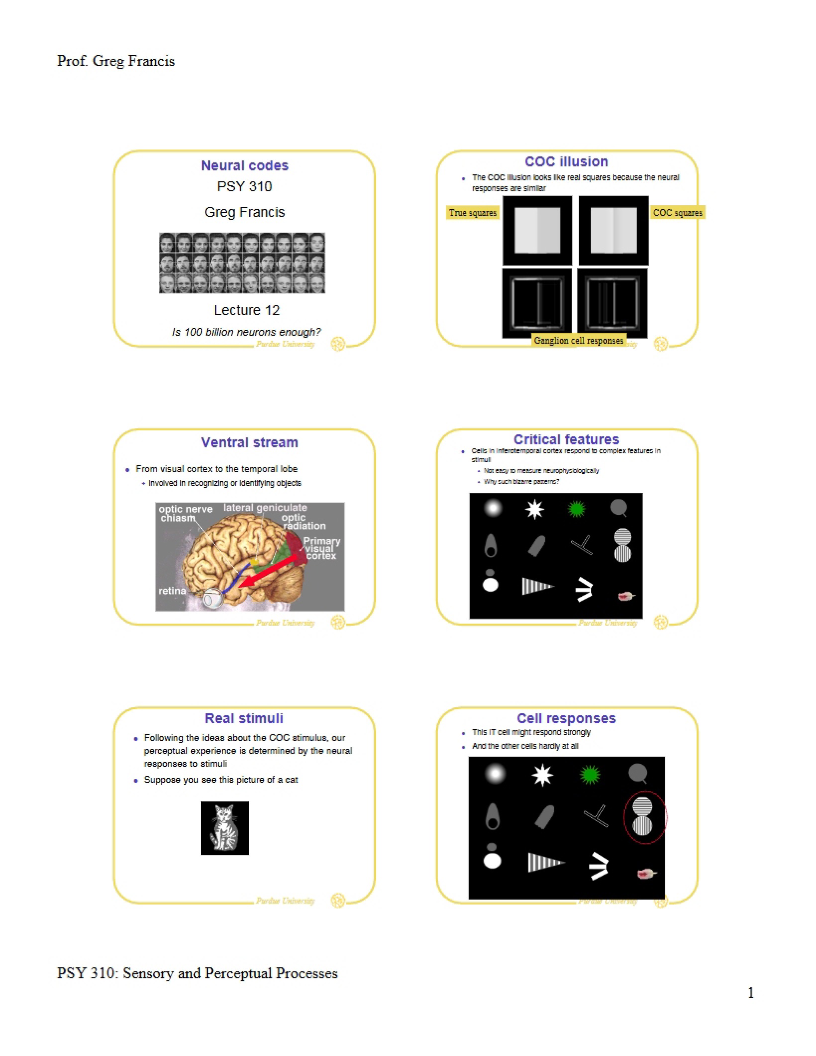 Coding in Neural Systems