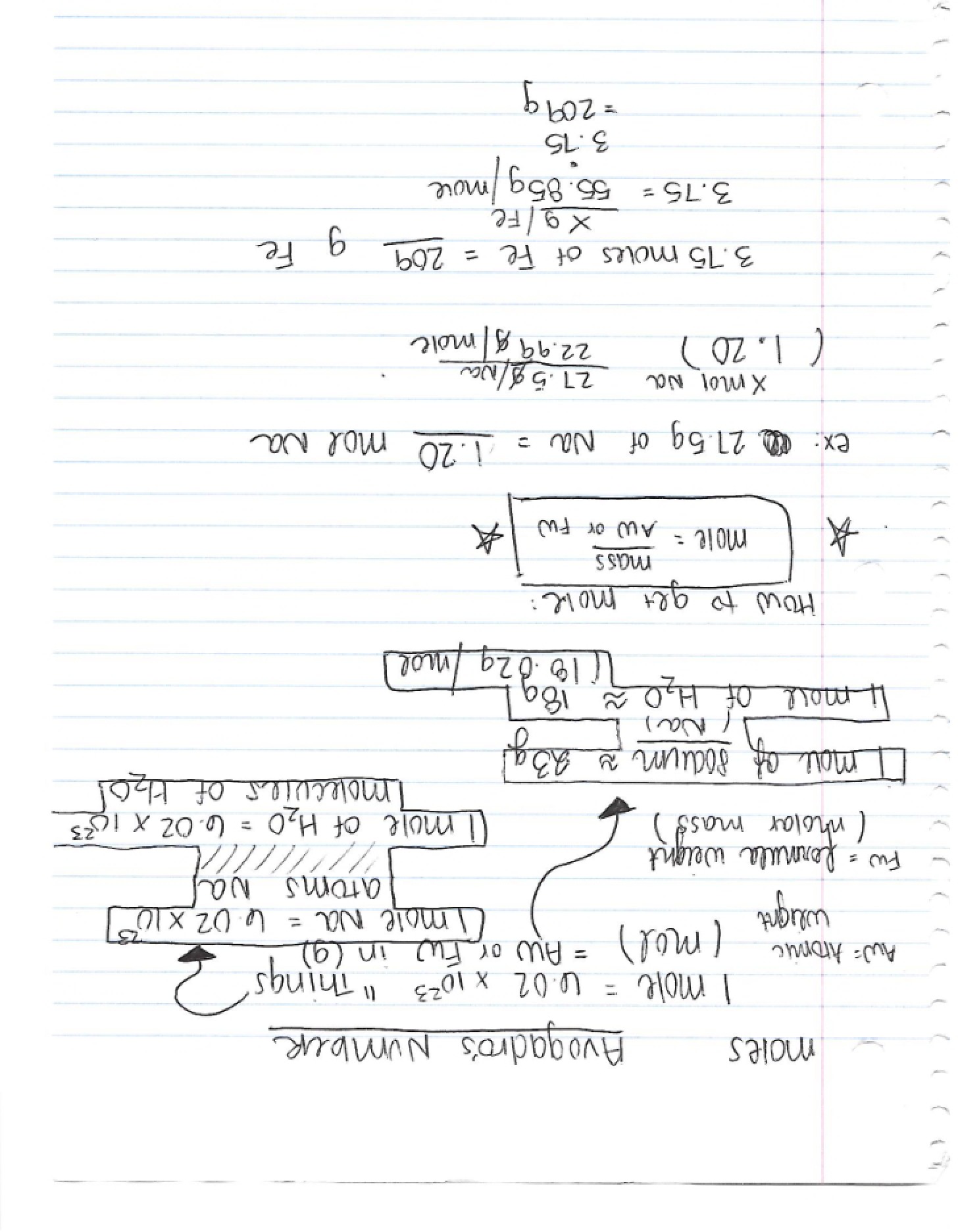 Class Notes