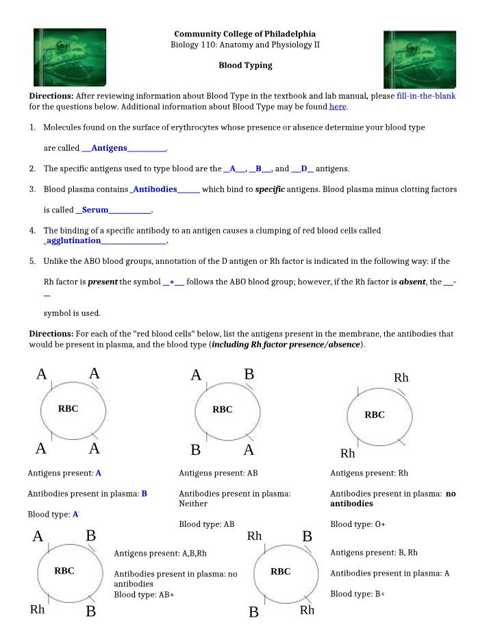 Revised Online Blood Typing