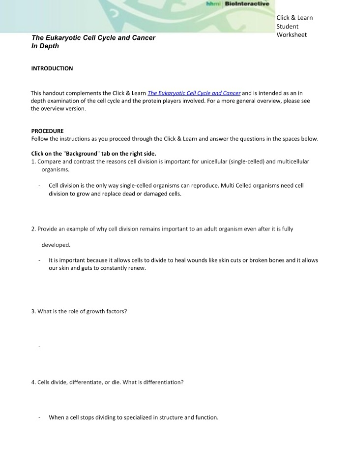 Worksheet on Cancer and the Eukaryotic Cell Cycle
