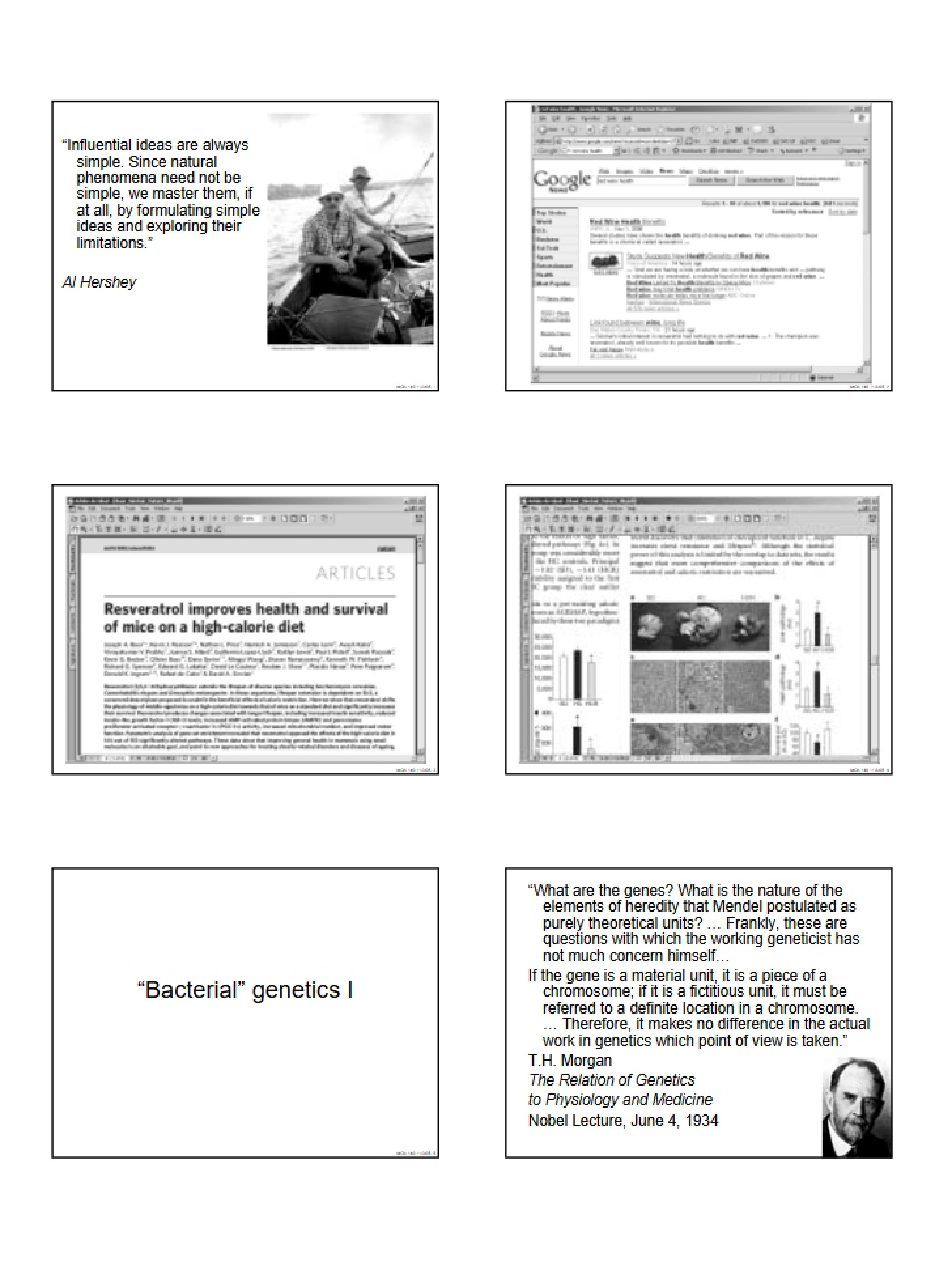 Notes from Lecture (11)