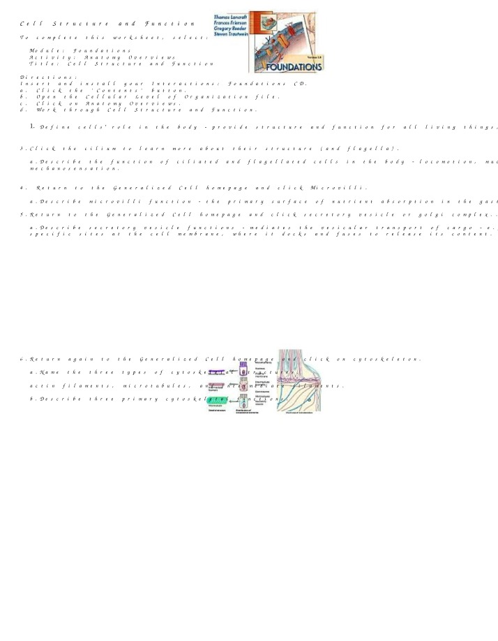 Worksheet on Cell Structure and Function