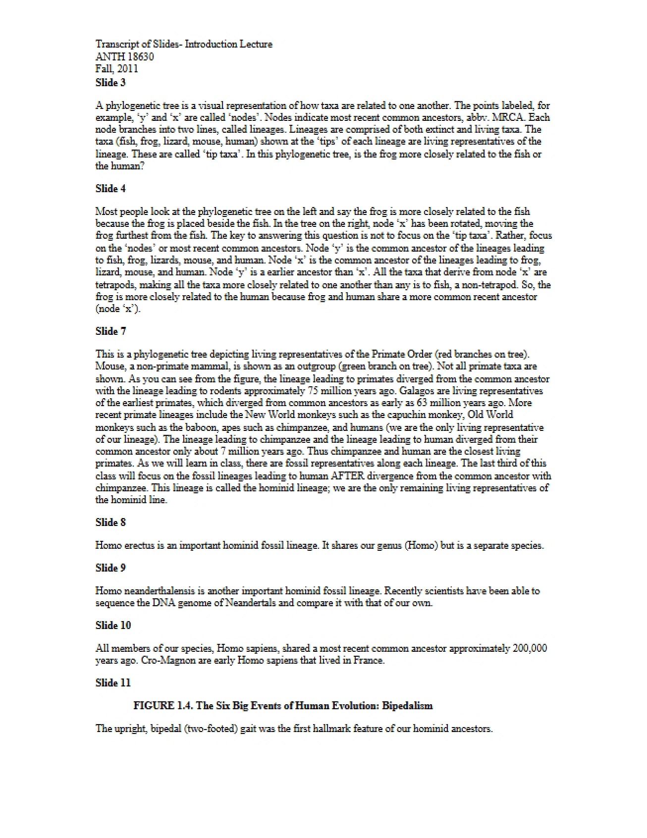Human Evolution Class Notes 5