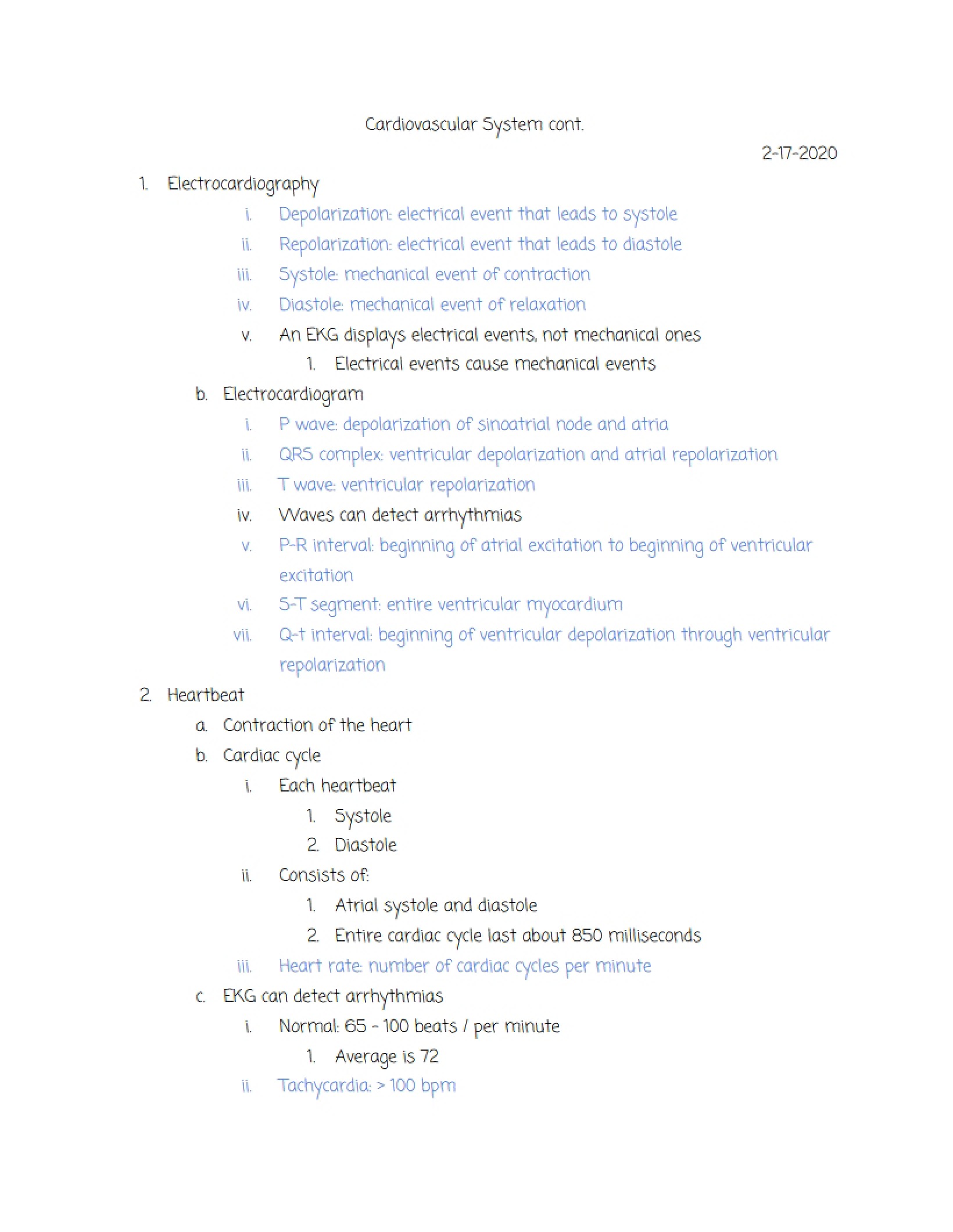 Exercise Two (Part 3) Cardiovascular System