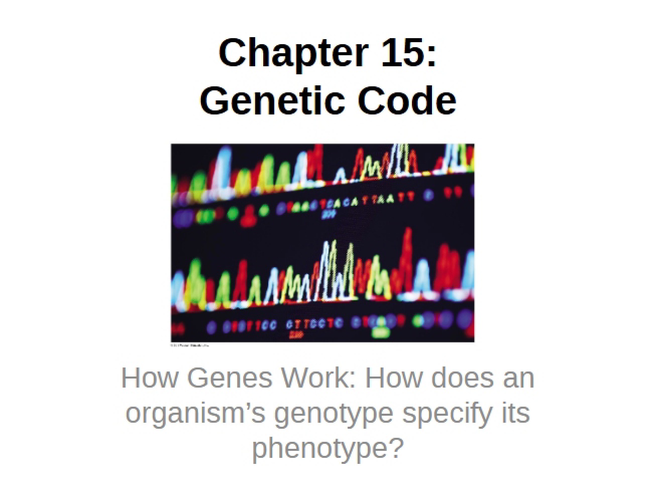 Student Genetic Code - Unit 23