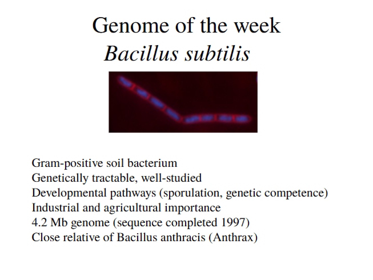 2005 Lecture Material 04