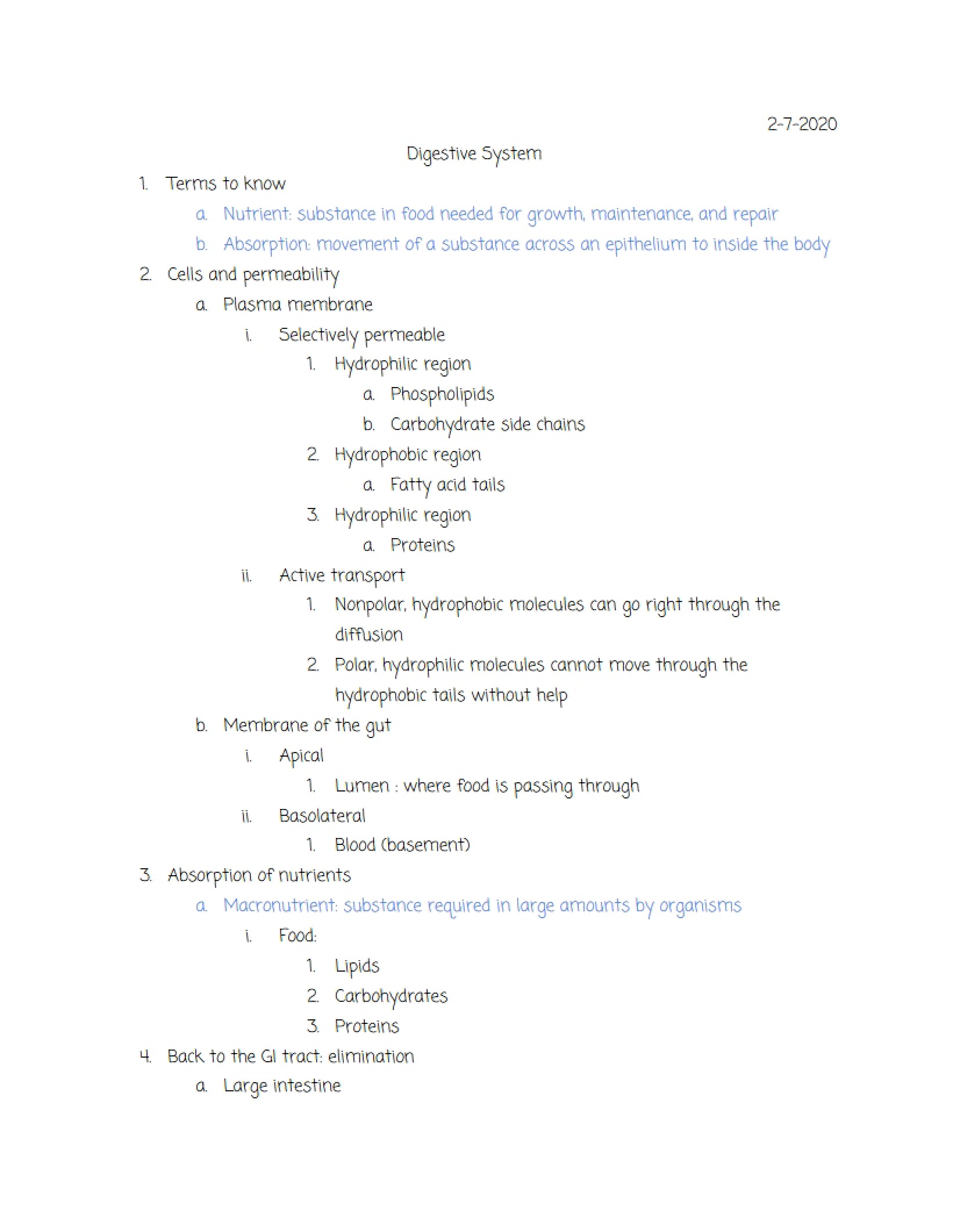 Exercise Two (Part 2) Digestive System