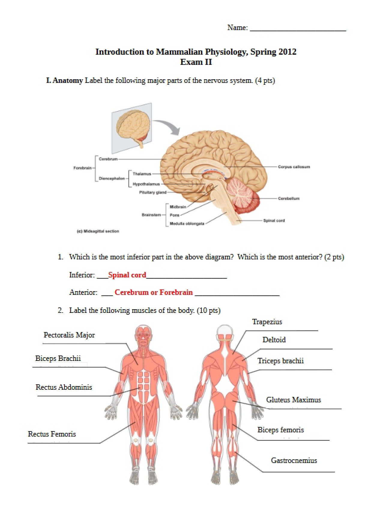 Answer Key for Second Exam