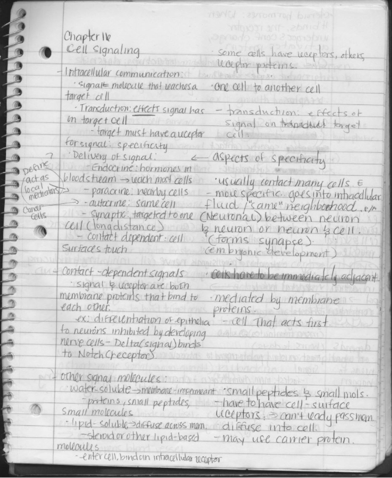Cellular Biology - Lecture Notes
