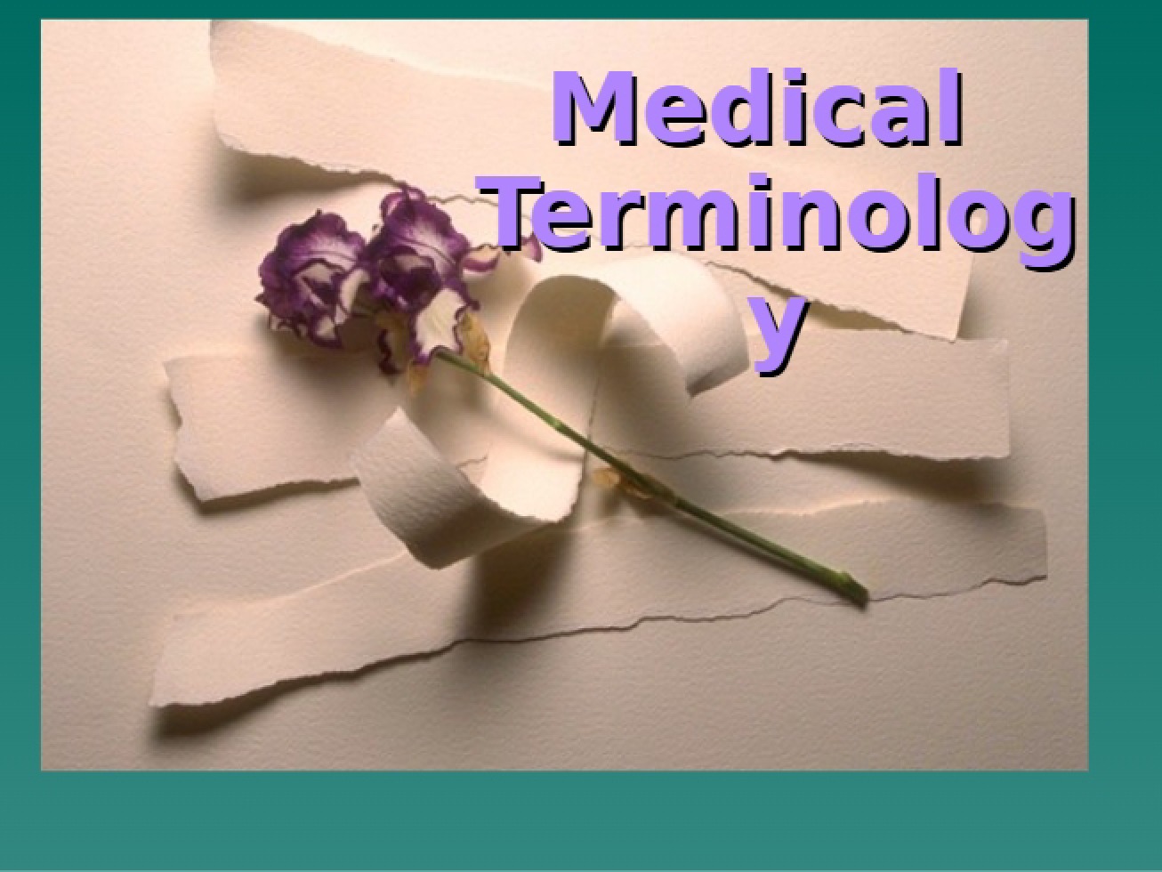 Terminology in Medicine - 25 Pages