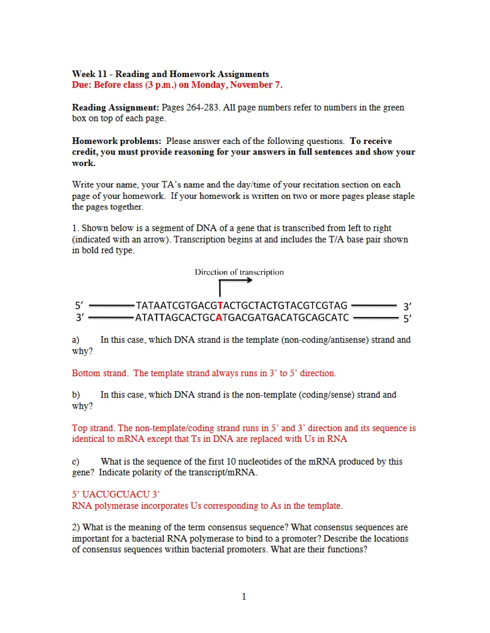 Answers for Week Eleven