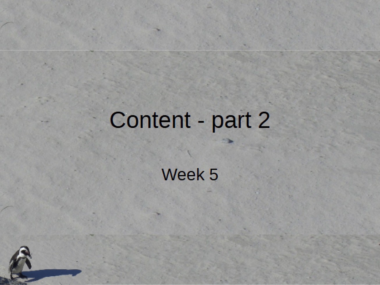 Second Content Segment