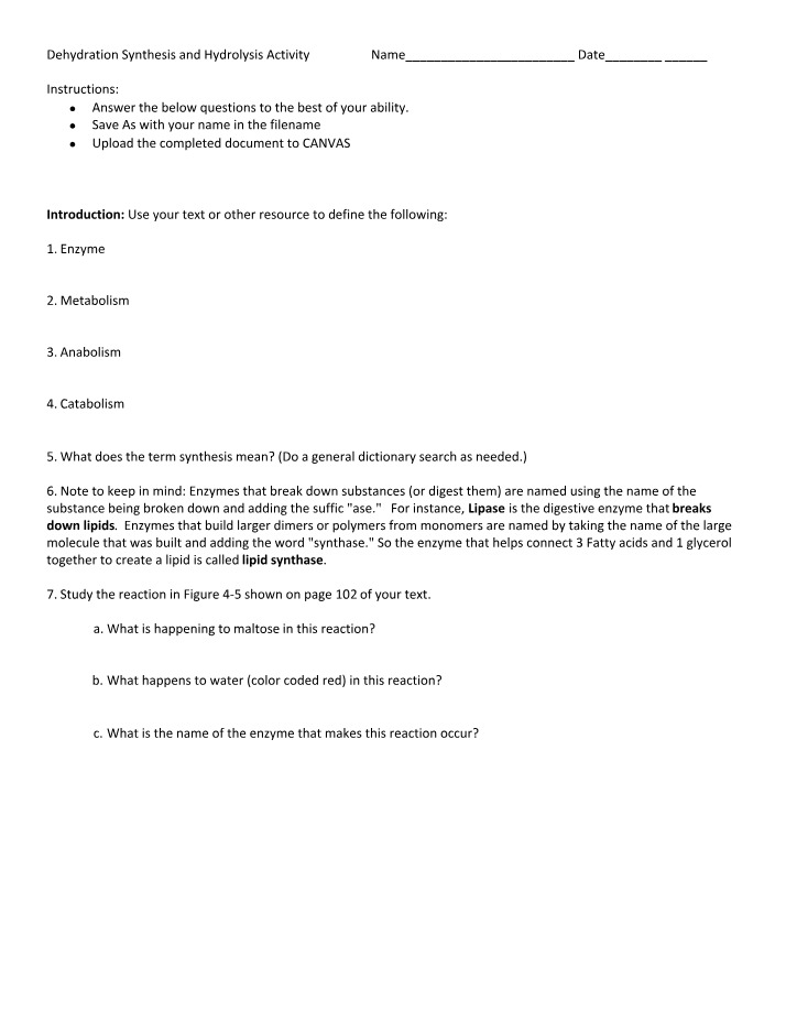 Activity and Questions for Dehydration Synthesis and Hydrolysis