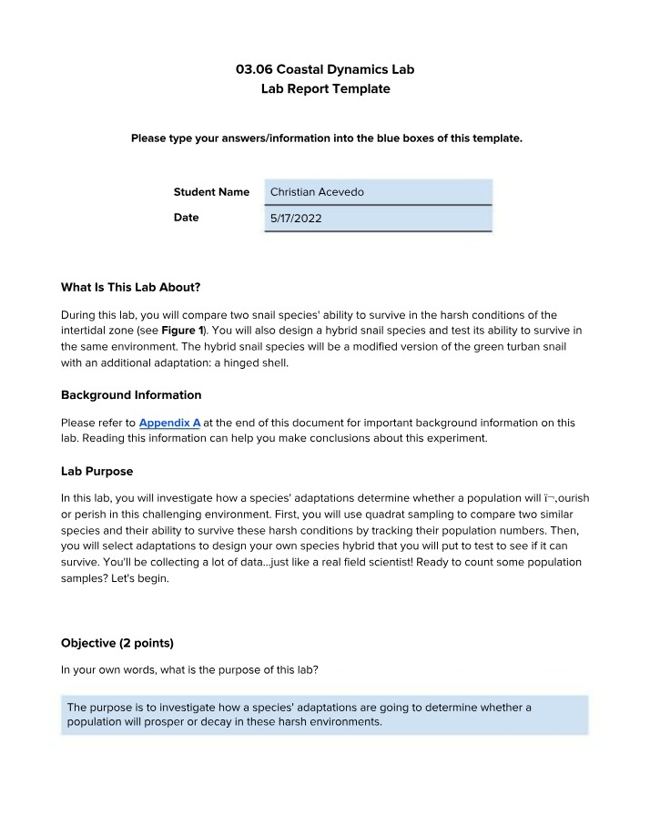 Lab Report - Coastal Dynamics