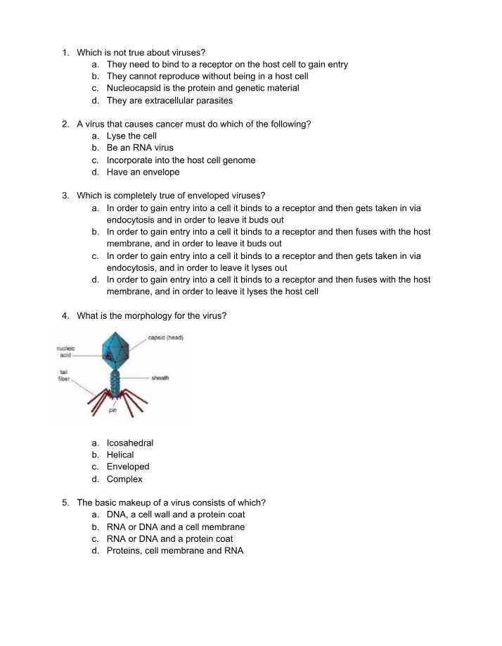 BIOL 101 Quiz