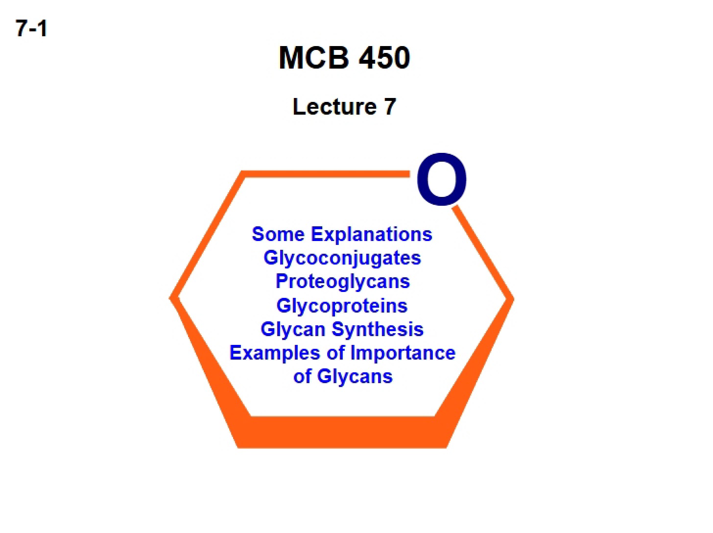 Seventh Lecture