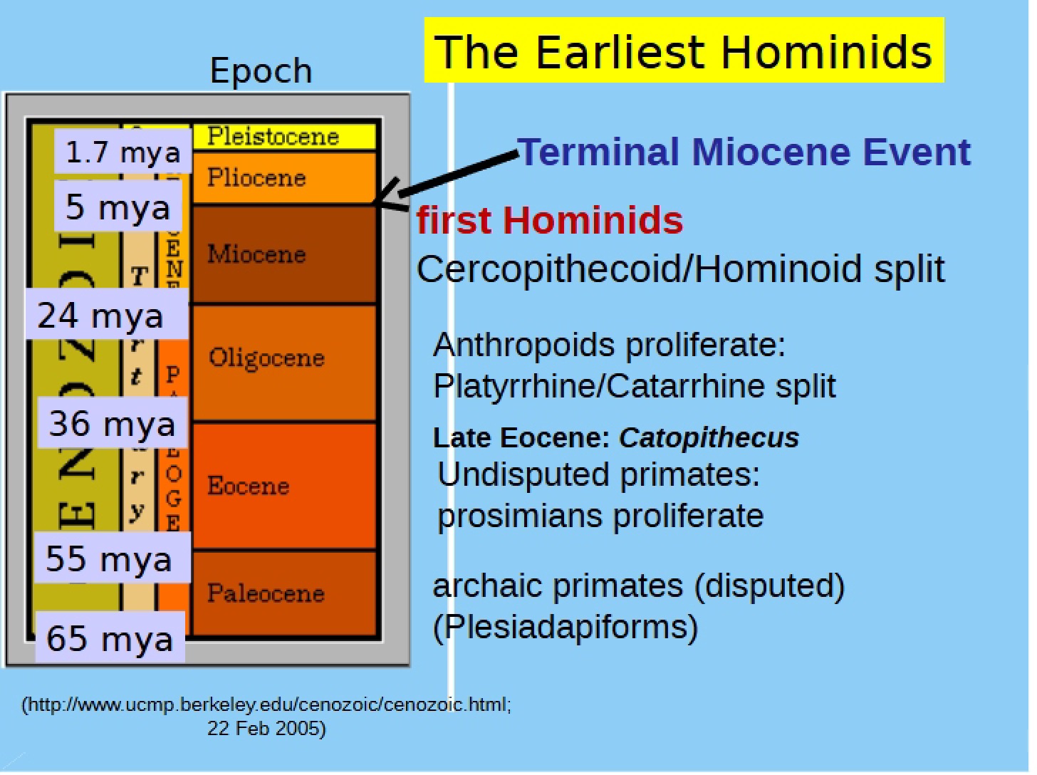 Austral Early Hominids 2013