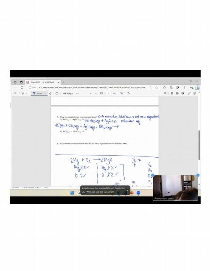 Net Ionic and Molecular Equations