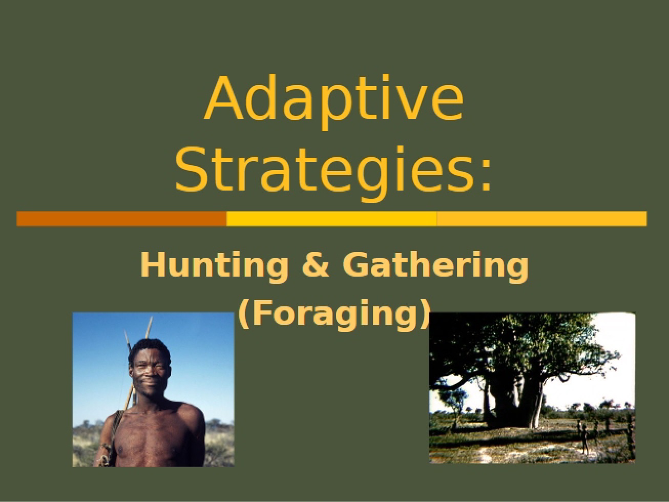 Gathering and Hunting