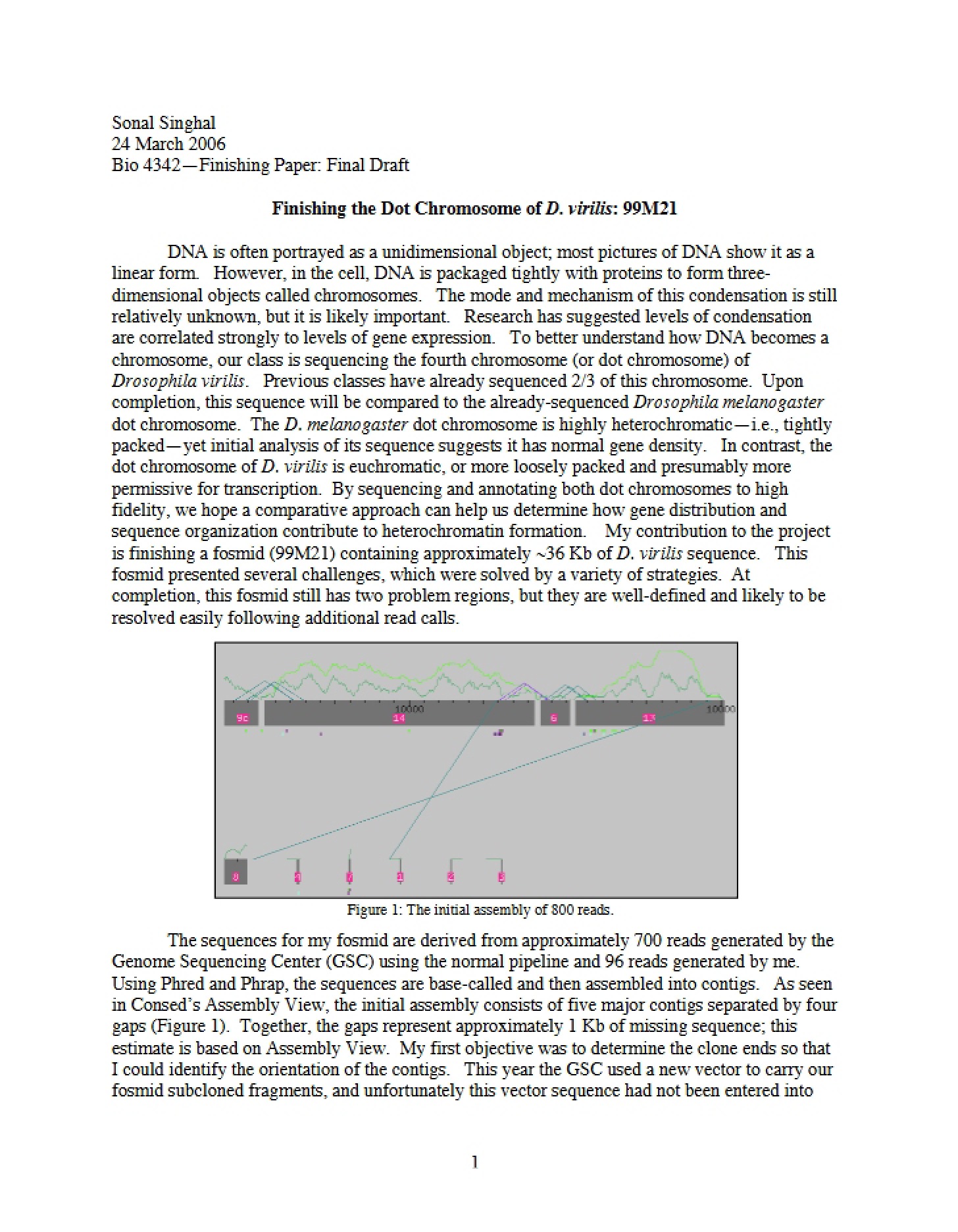 D. virilis Dot Chromosome Finishing